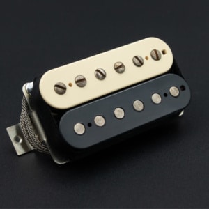 Hot Vintage 59 PAF Set